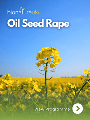 Oil Seed Rape_thumbnail